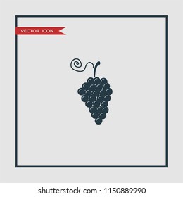 grapes icon illustration vector 