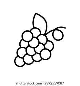 Grapes icon isolate white background vector stock illustration.