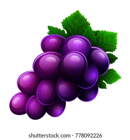 Grapes icon isolated on white background. Vector illustration