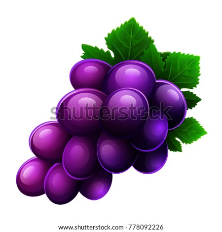 Grapes icon isolated on white background. Vector illustration