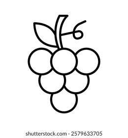 Grapes icon logo sign set vector outline