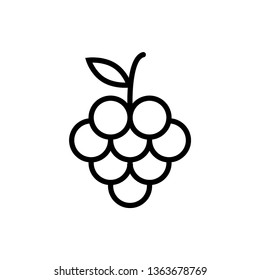 Grapes icon on outline style. Fruit illustration symbol. Can be use for, landing page, website or mobile app. EPS 10. - Vector