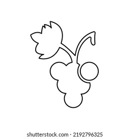 grapes icon on a white background, vector illustration