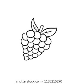 grapes icon outline
