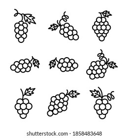 Grapes Icon Set Illustration Vector