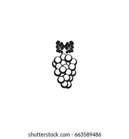 grapes icon. sign design