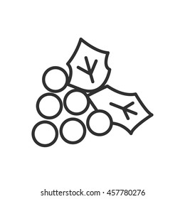 grapes icon. Thin line design