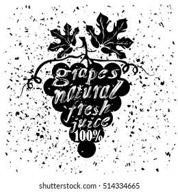 Grapes Icon Typography Design on White Grunge Background. Vector Vintage Fruit Poster, Banner, Logo or Label with Lettering