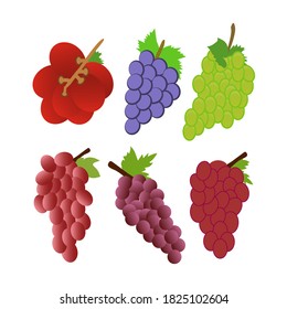 Colección vectorial de iconos de uvas aisladas en fondo blanco.