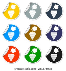 grapes icon, Vector flat Illustration EPS 10
