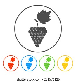grapes icon, Vector flat Illustration EPS 10