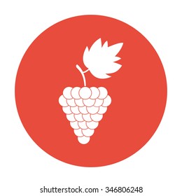 grapes icon, Vector flat Illustration EPS 10