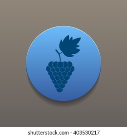 grapes icon, Vector flat Illustration EPS 10