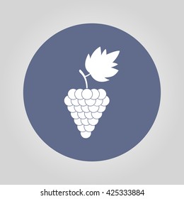 grapes icon, Vector flat Illustration EPS 10