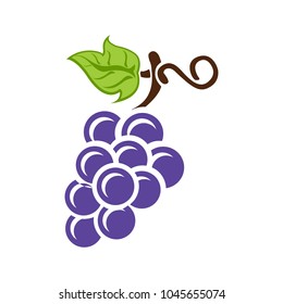 Grapes Icon, Vector Fruit Illustration, Nature Wine