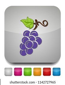 Grapes Icon, Vector Fruit Illustration, Nature Wine