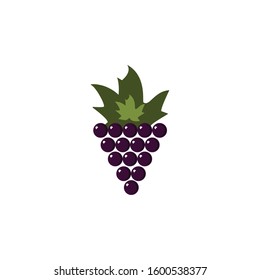 grapes icon vector fruit illustration