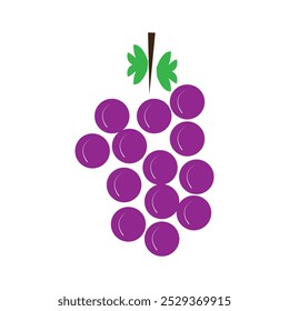 grapes icon vector. vector illustration.