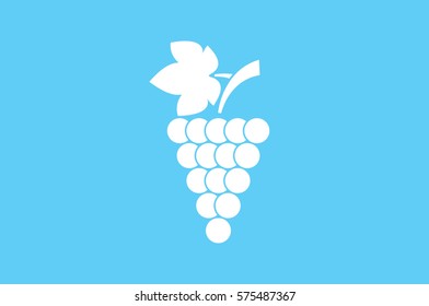 Grapes icon vector illustration.