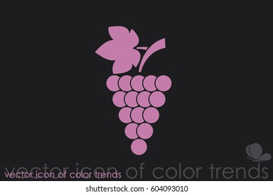 Grapes icon vector illustration.