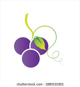 Grapes icon vector illustration design template