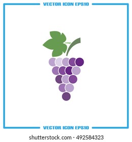 Grapes icon vector illustration eps10.