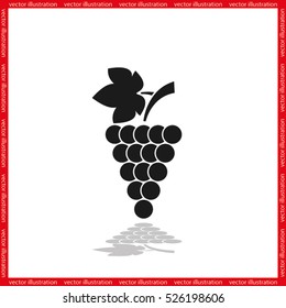 Grapes icon vector illustration eps10.