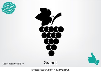 Grapes icon vector illustration eps10.