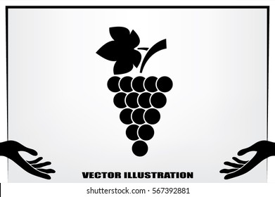 Grapes icon vector illustration eps10.
