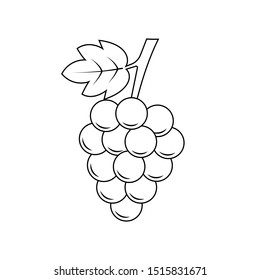 Grapes icon. Vector illustration of simple  grape with leaf, isolated on white.