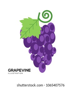 Grapes icon vector. Grapes sign on white background. Grapes icon for web and app