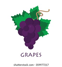 Grapes icon. Grapes wine or grapes juice. Grapes with green leaf isolated. Organic grapes sign. Fruits and vegetables.