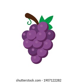 Grapes Icons White Background Flat Style Print Web Design