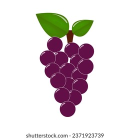 Grapes illustrated in vector on background