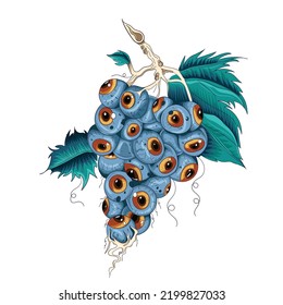 grapes illustration cute eyeball style design.