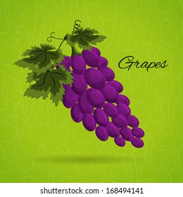 grapes an illustration in a retro style