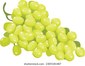 Grapes Illustration, Grapes Vector Art, Green Grapes Fruit