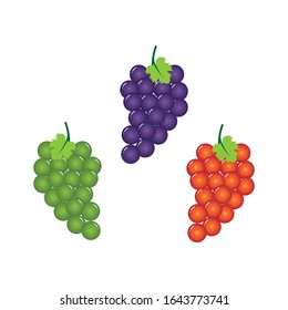 Grapes illustration vector icon template
