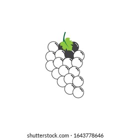 Grapes illustration vector icon template