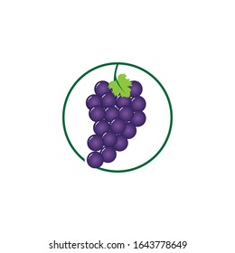 Icono de ilustraciones de uvas