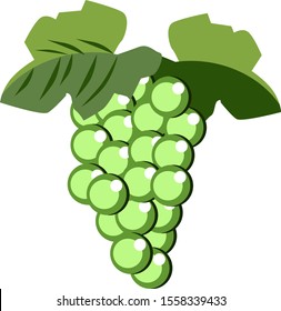 Weintrauben, Illustration, Vektorgrafik auf weißem Hintergrund.