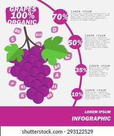 Grapes Infographics , Fruit . vector illustration