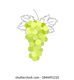 Grapes isolated on white background. Vector illustration. Icon. Design.
