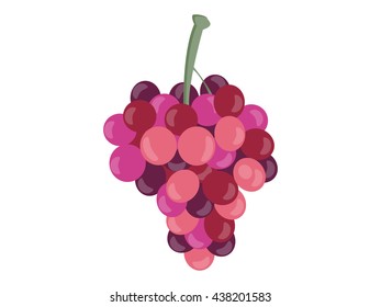 Grapes isolated on white background. Vector illustration.