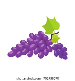 Grapes isolated on white background, cartoon illustration. Vector