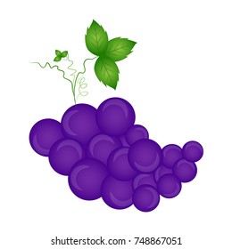 Grapes isolated on white background, Vector illustration