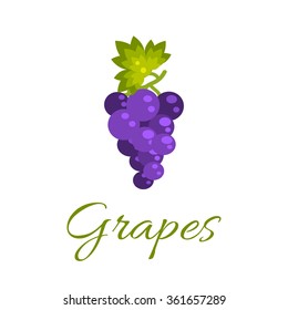 Grapes isolated vector icon. Gapes fruit on vine with leaf. Purple grapes. Wine or juice branding logotype.
