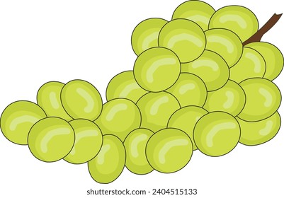 Grapes isolated vector on white background