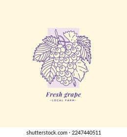 Grapes label design template. Linear graphic style. Vector illustration.