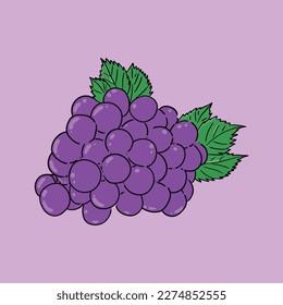 grapes with leaf fruit vector illustration 